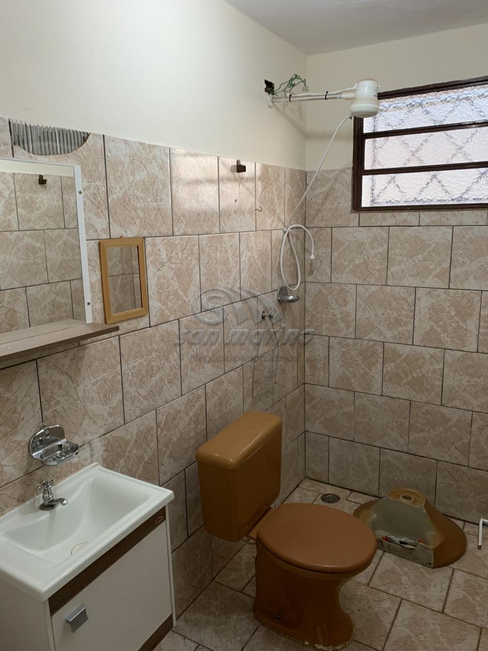 Apartamentos / Padrão em Jaboticabal - foto 4