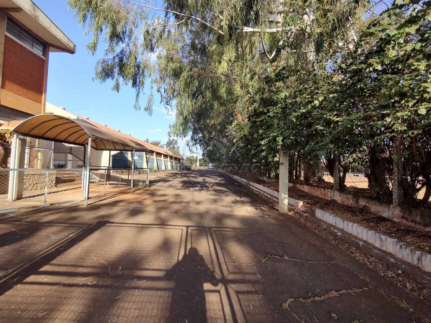 Comerciais / Prédio em Jaboticabal - foto 1