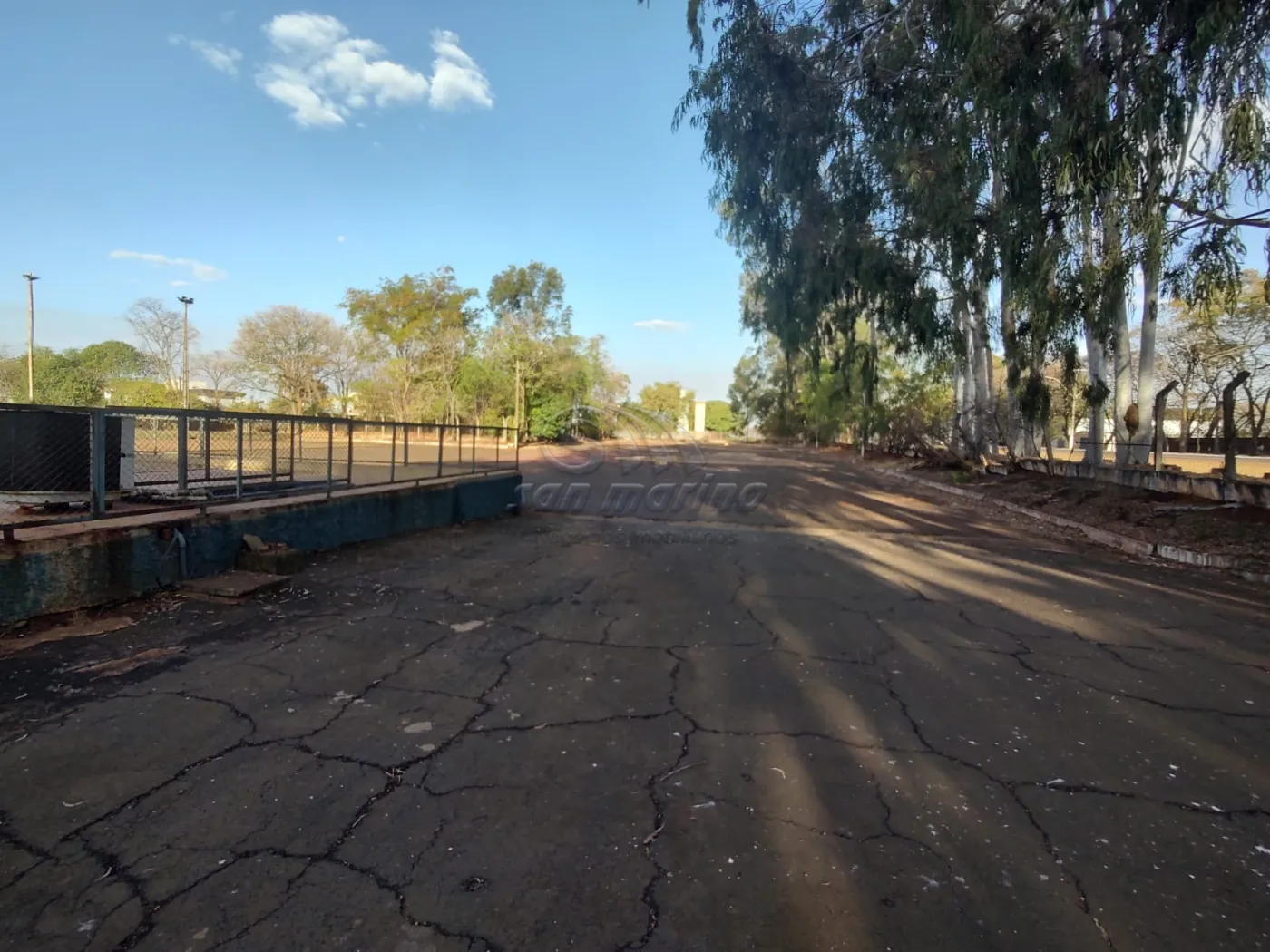 Comerciais / Prédio em Jaboticabal - foto 11