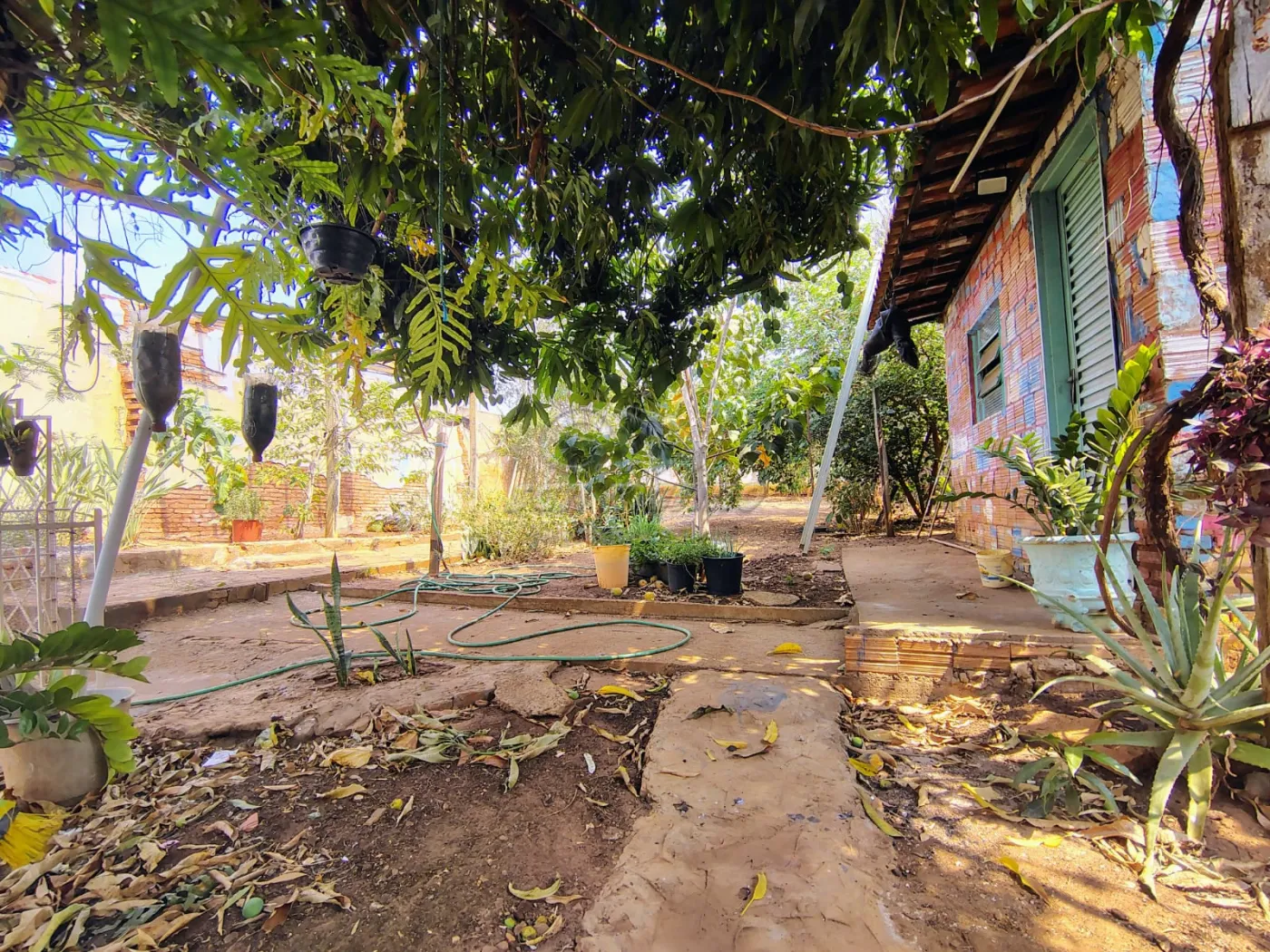 Casas / Padrão em Jaboticabal - foto 12