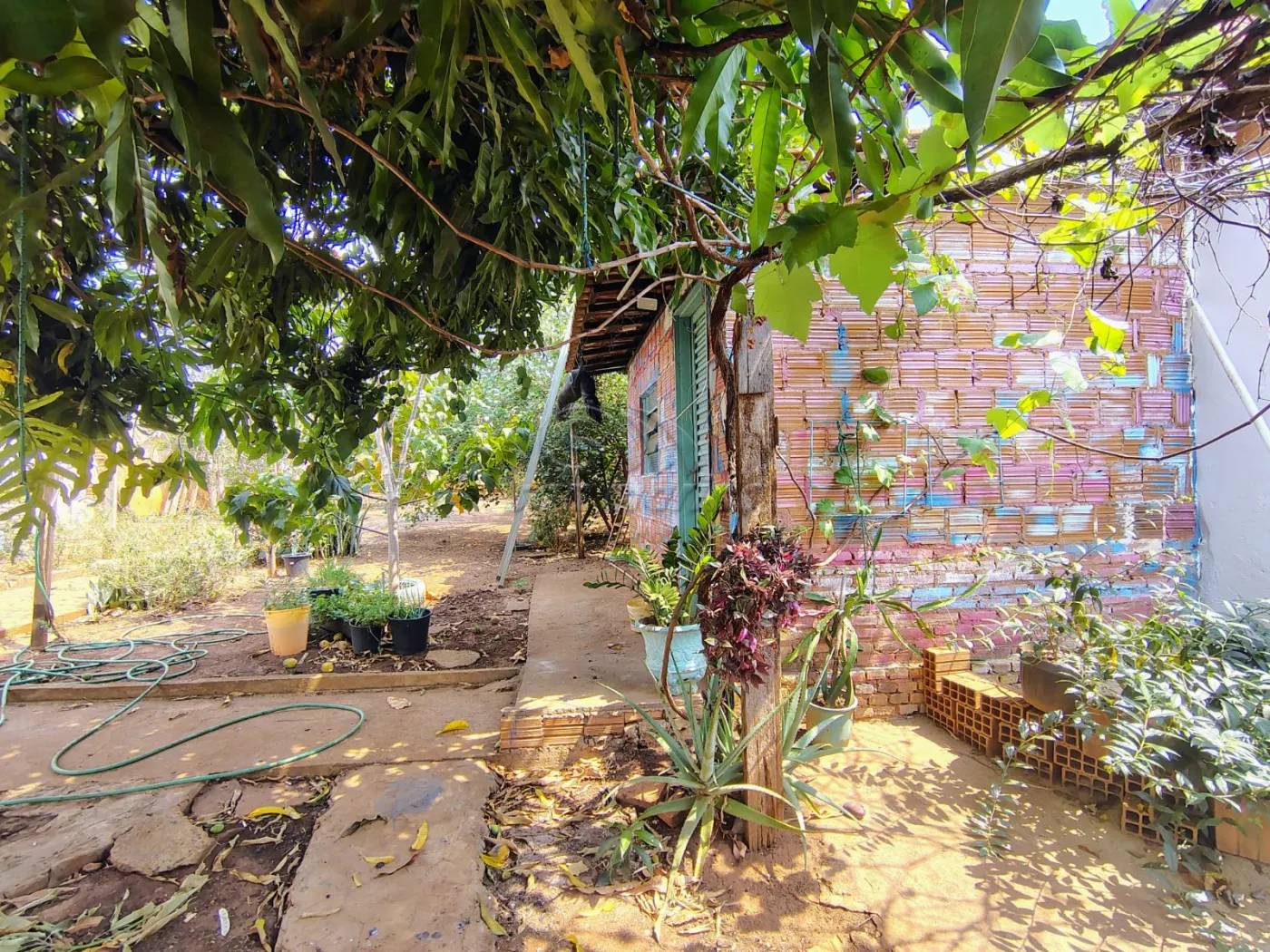 Casas / Padrão em Jaboticabal - foto 15