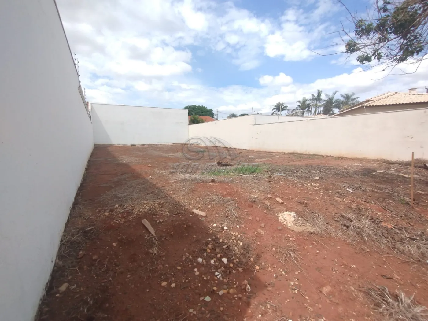 Terrenos / Residencial em Jaboticabal - foto 1