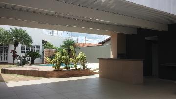 Casas / Edícula em Jaboticabal - foto 1