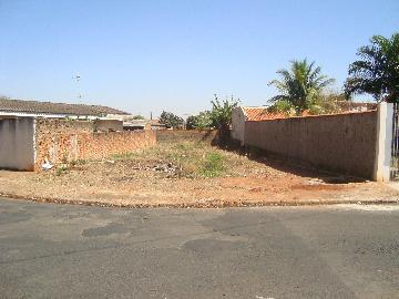 Alugar Terrenos / Residencial em Jaboticabal. apenas R$ 180.000,00