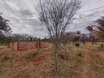 Chácaras / Urbana em Jaboticabal - foto 7