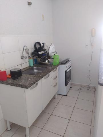 Apartamentos / Padrão em Jaboticabal - foto 2