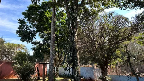 Casas / Padrão em Monte Alto - foto 64