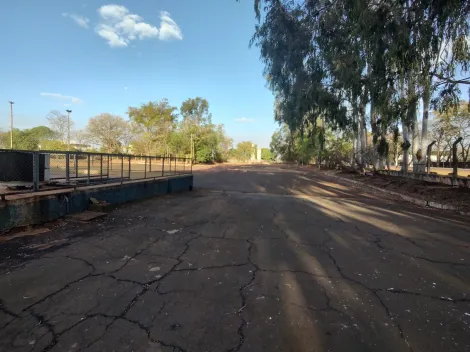 Comerciais / Prédio em Jaboticabal - foto 11