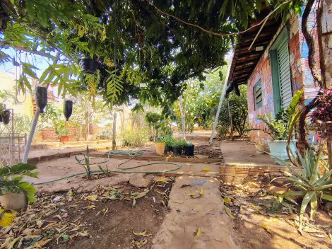 Casas / Padrão em Jaboticabal - foto 12