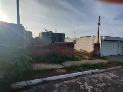 Casas / Padrão em Jaboticabal - foto 0